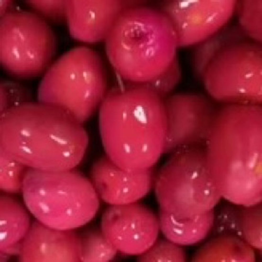 neon pembe zeytin 🫒