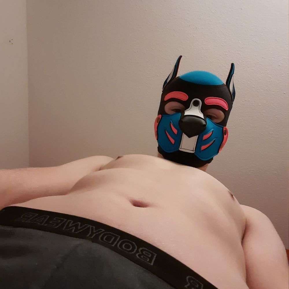 Jax_the_pup