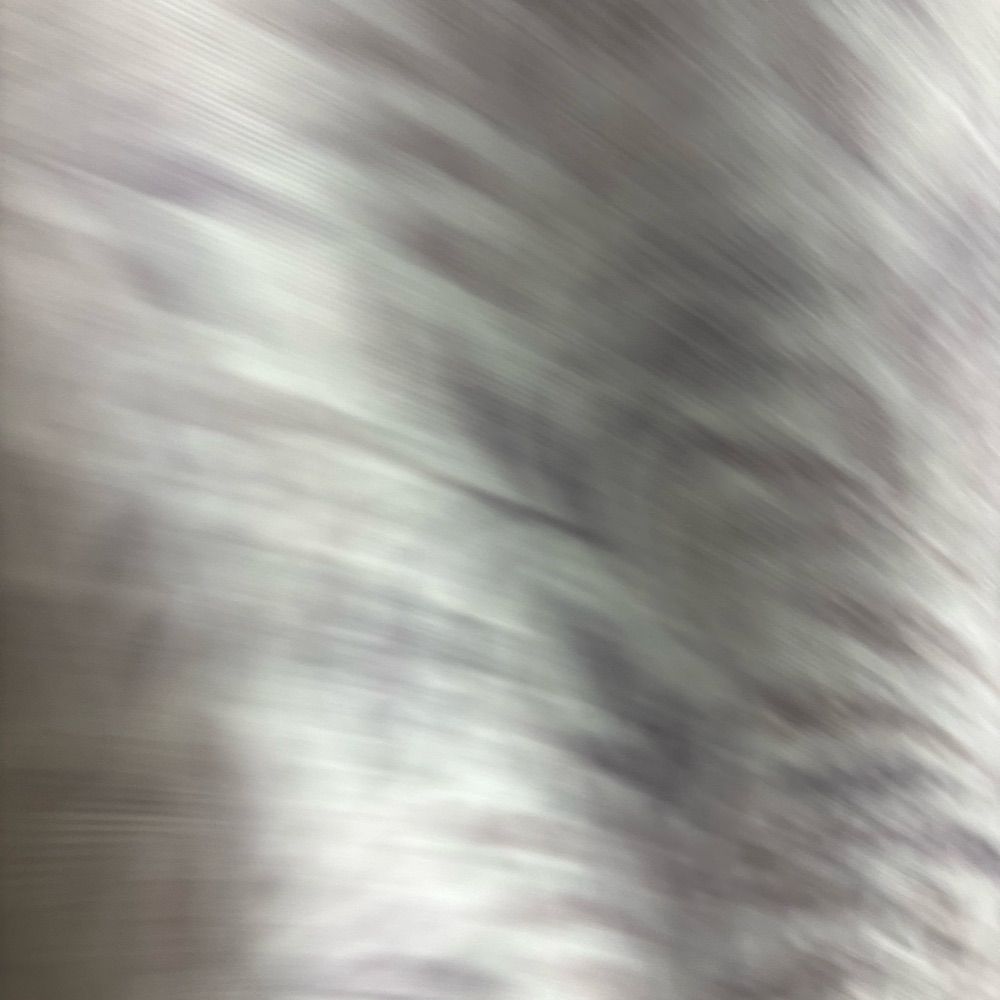 멍뭉잉