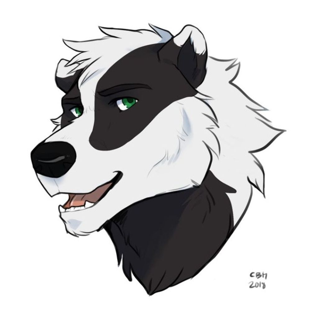 Shad Badger's avatar
