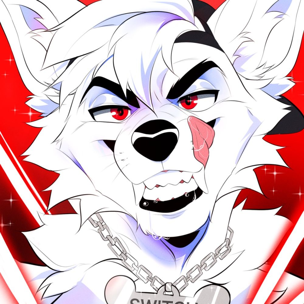 Switch 🐾
