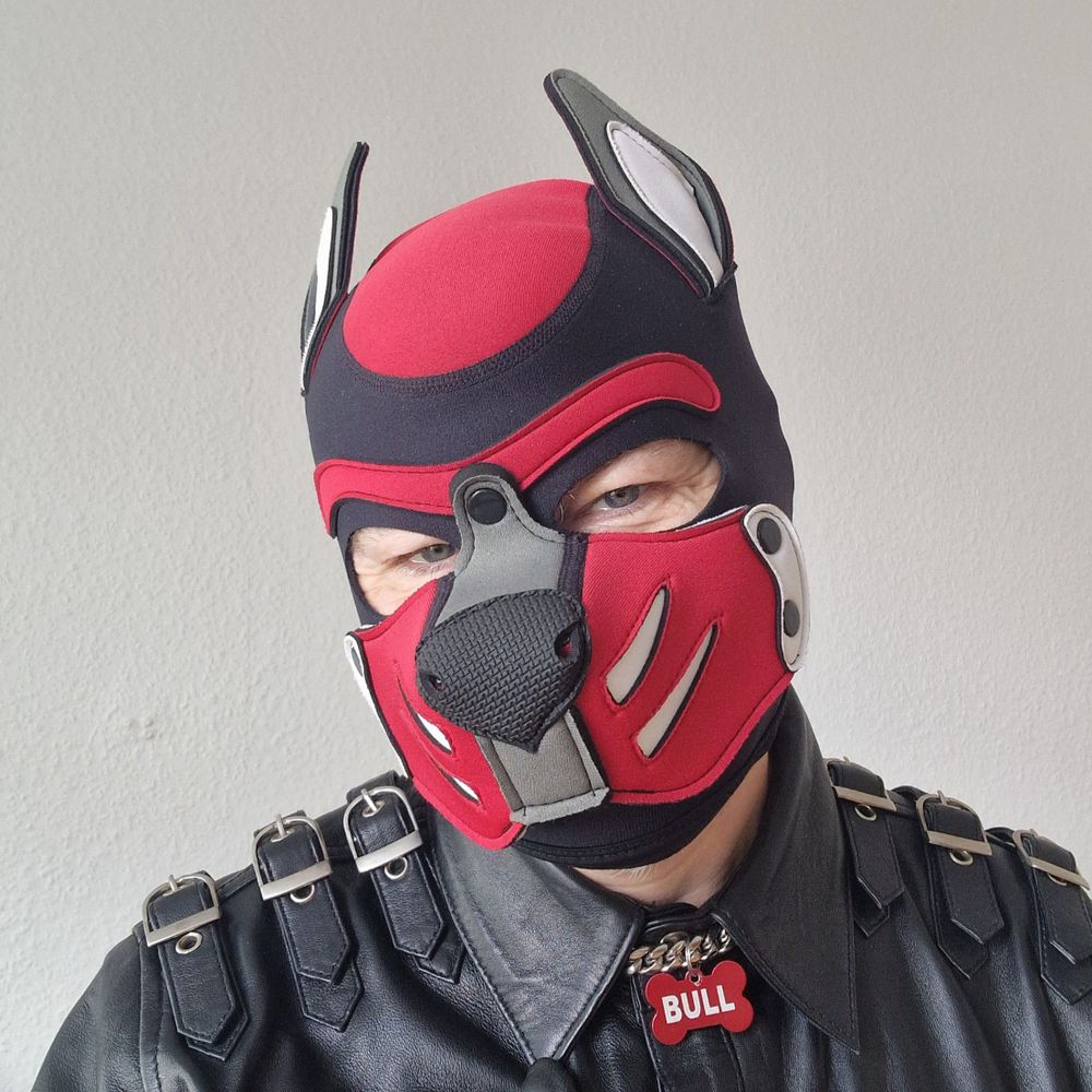Bull