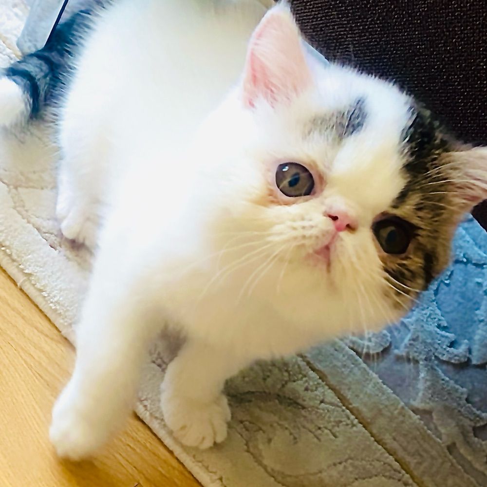 Pınar