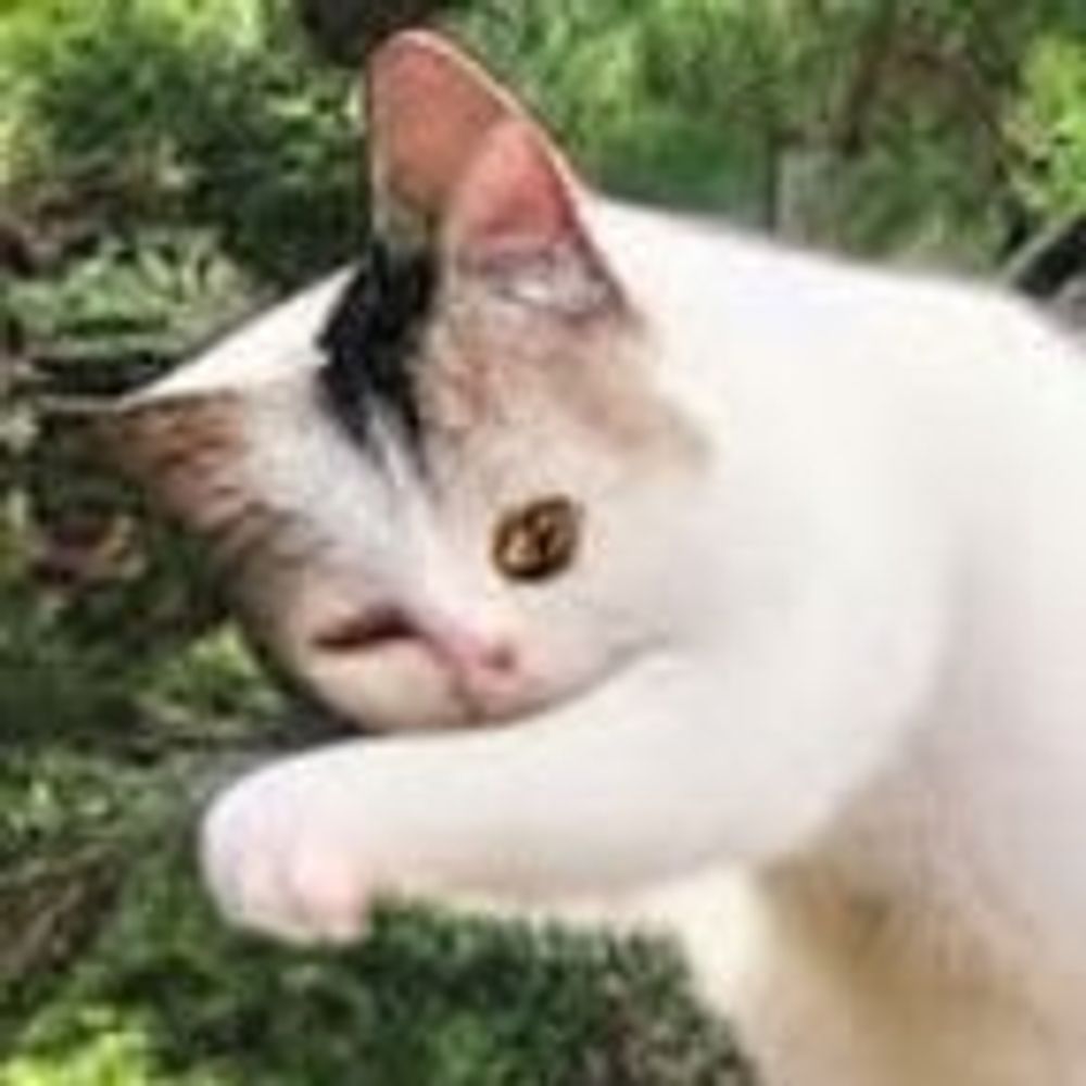 午後のごうちゃ