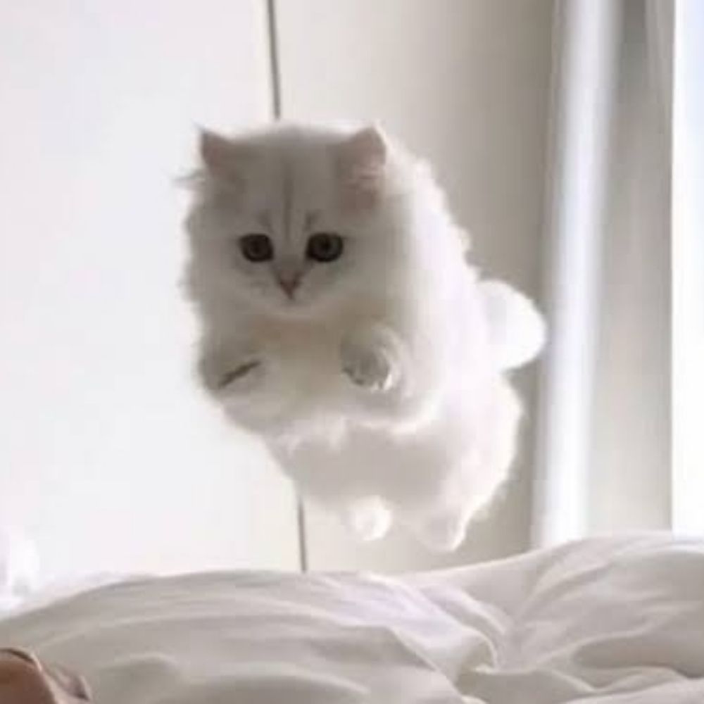 ねる