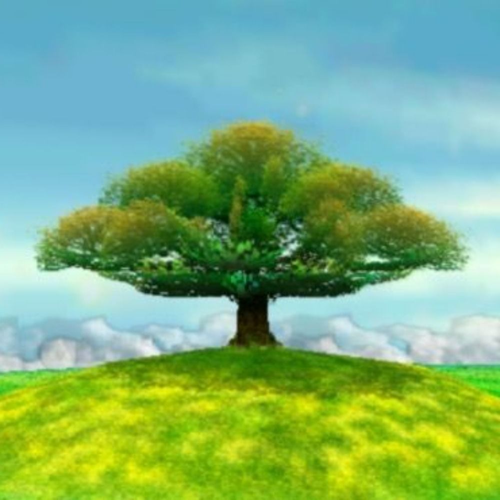 Paul Tree's avatar
