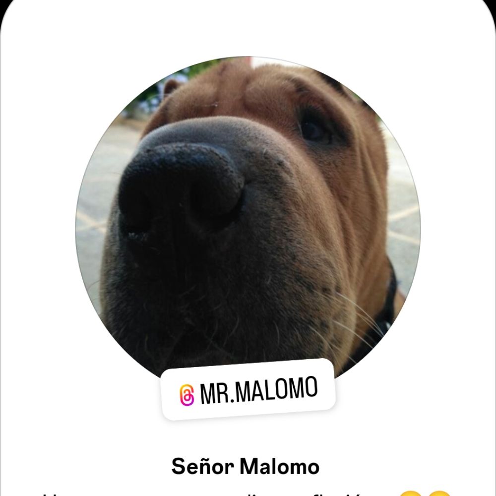 Mr.malomo