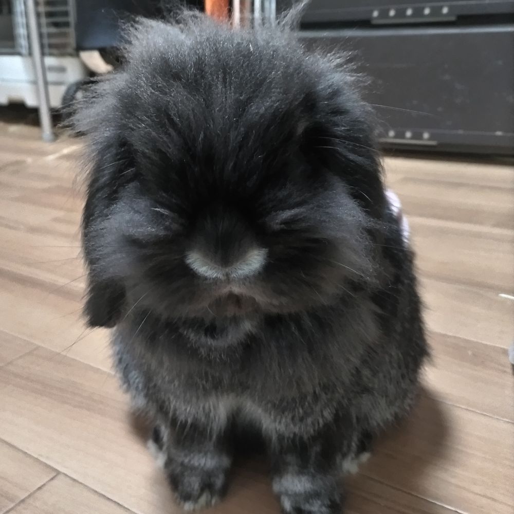 たお