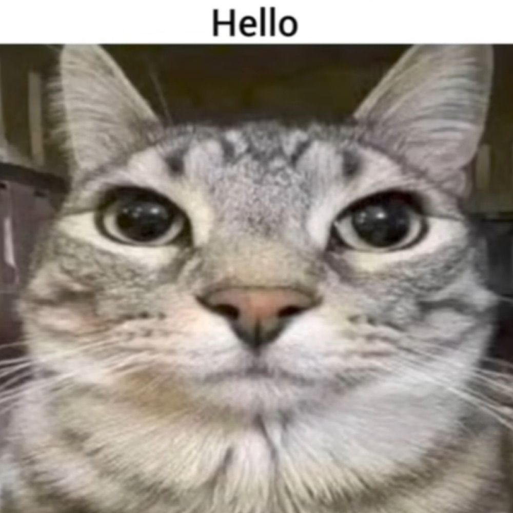 ;