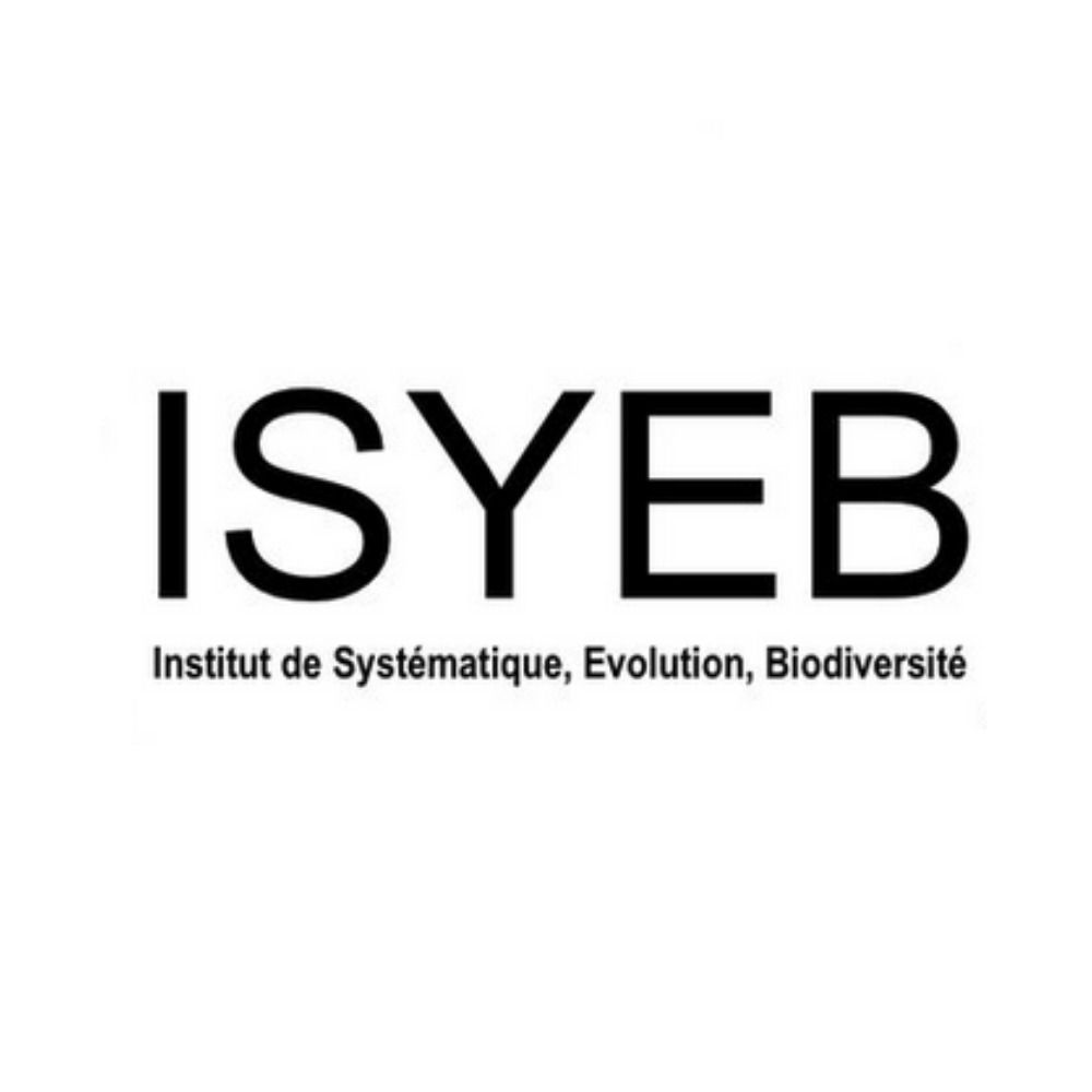 ISYEB