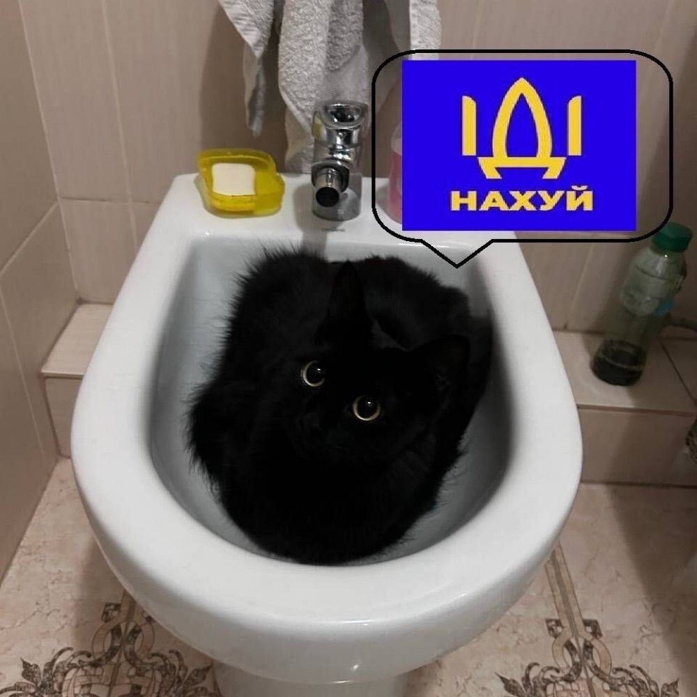 Mushka