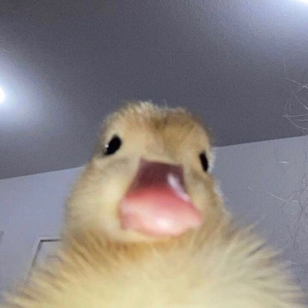 𝓱𝓪𝓱