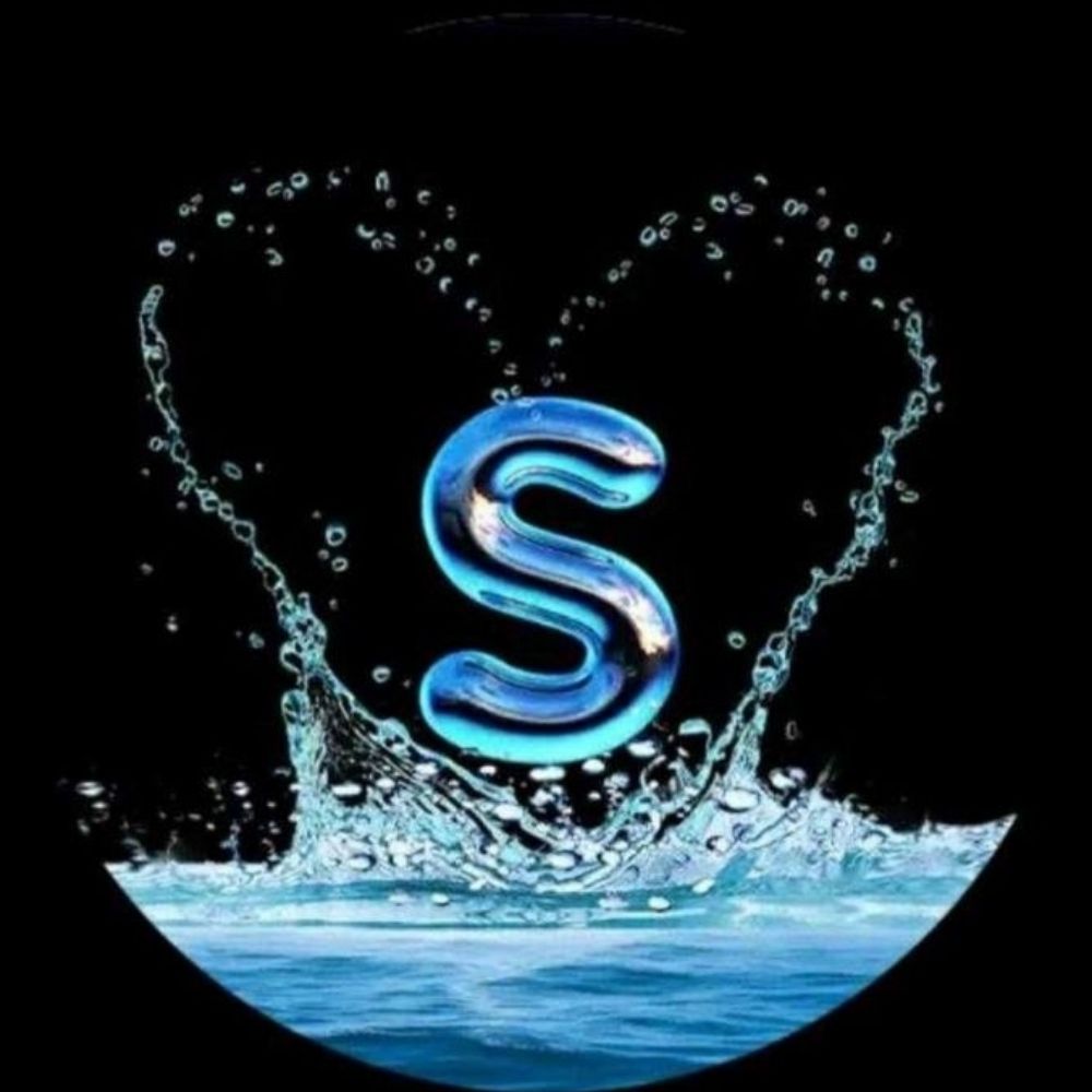 sallyst1ch3s_