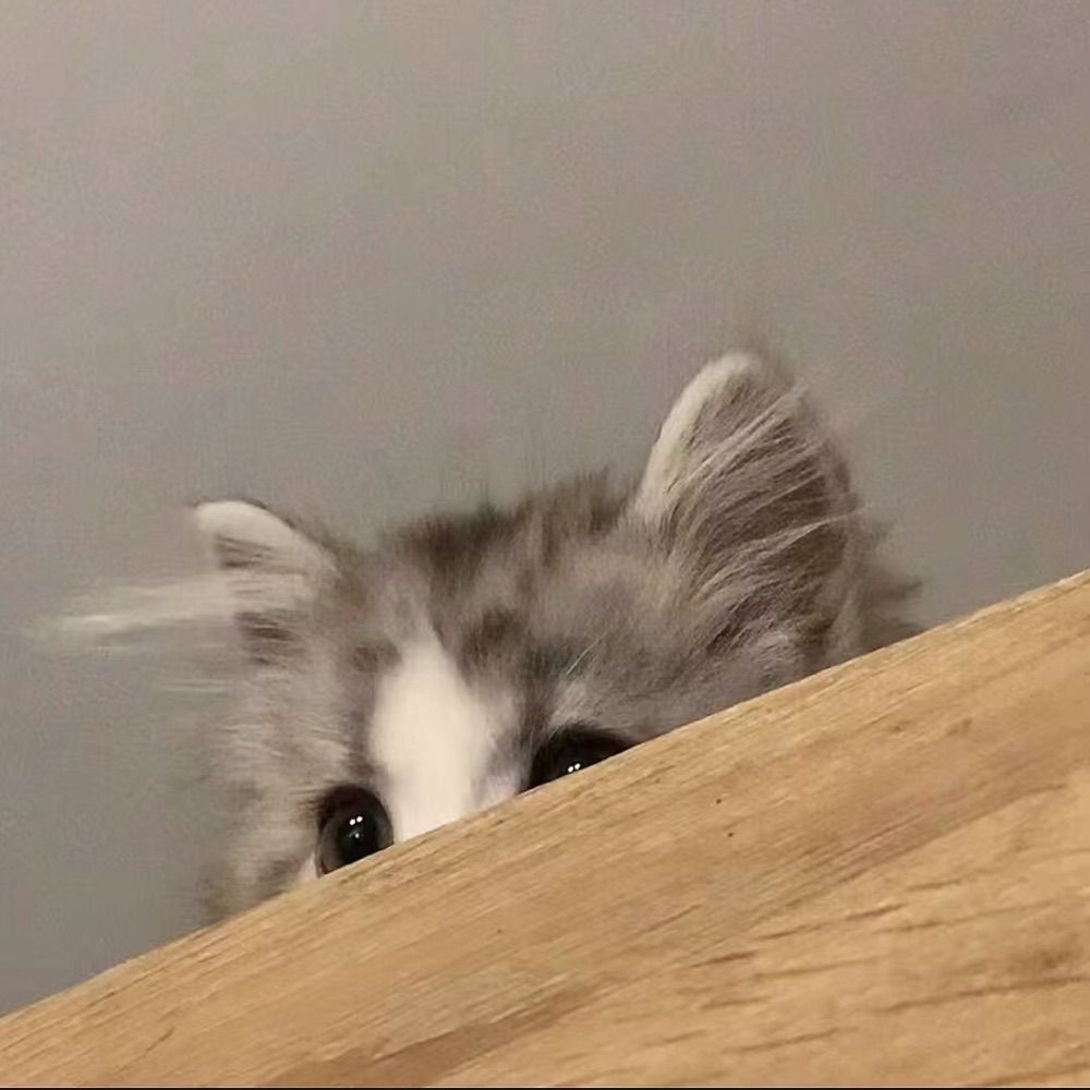随便看看咯