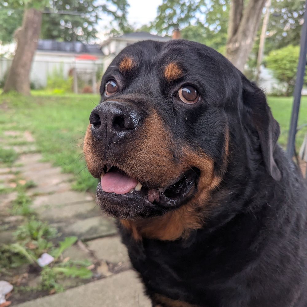 galahad22.bsky.social profile picture