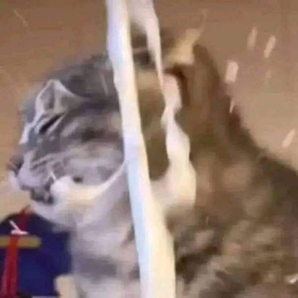 大蛙