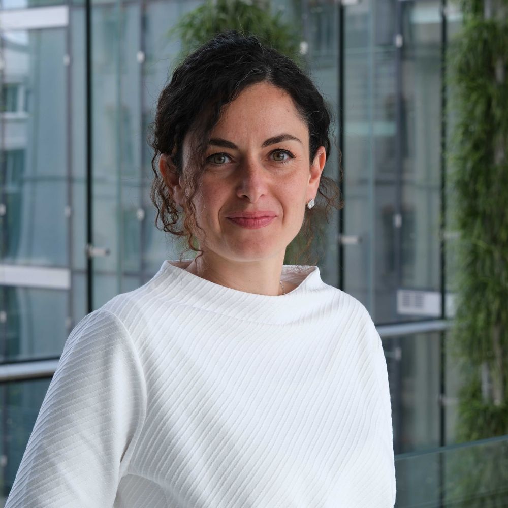 Sara Stampacchia