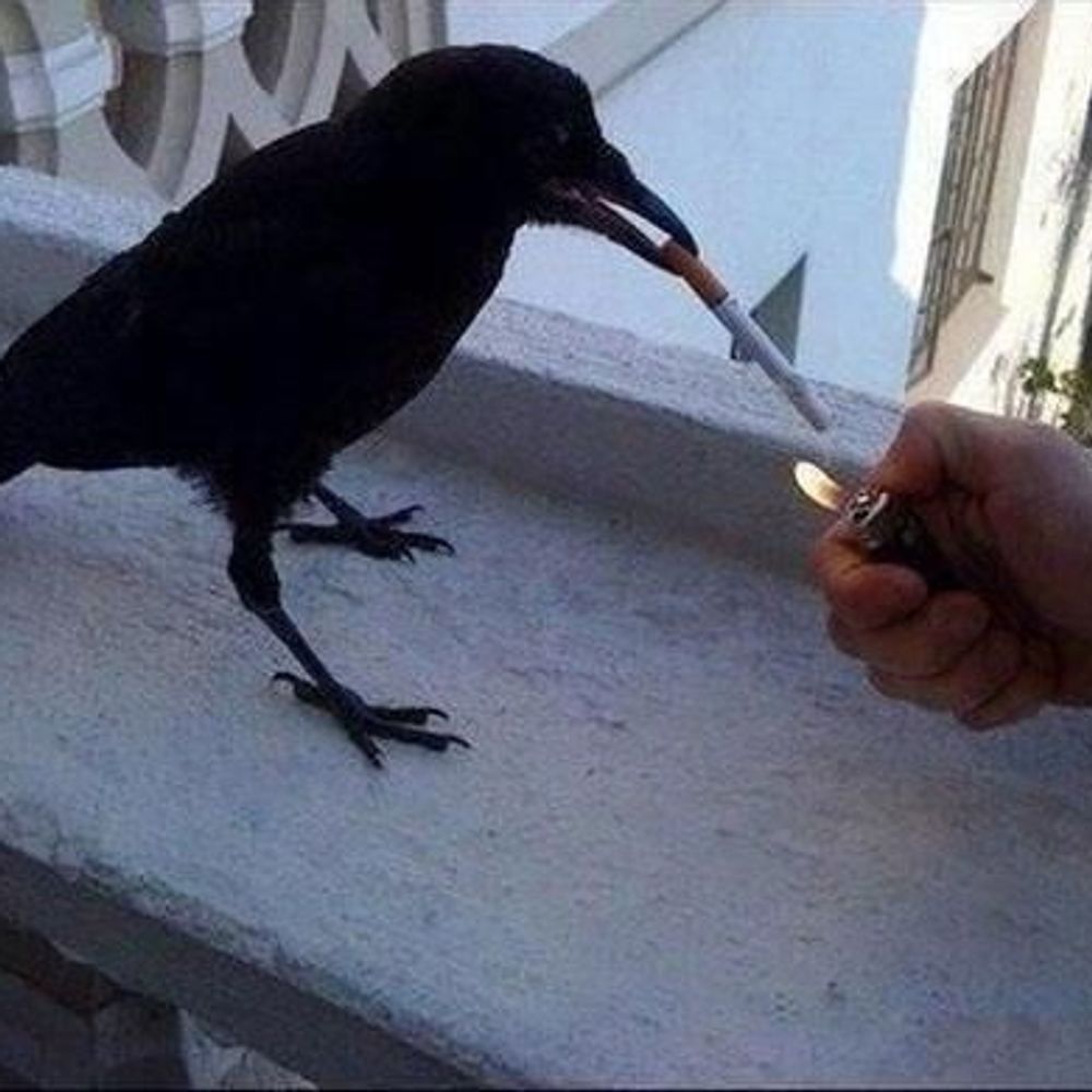 𝙼𝚊𝚖𝚙𝚎𝚛𝚒𝚗𝚒