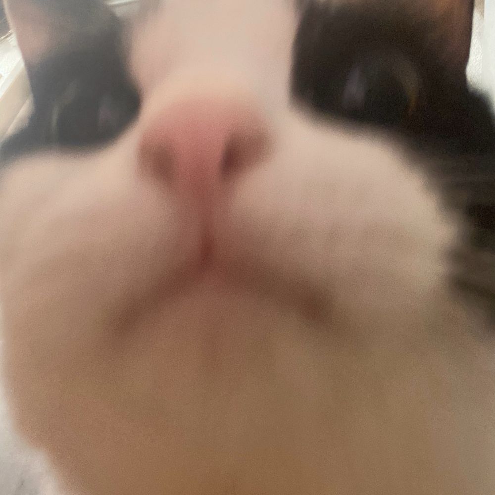 り