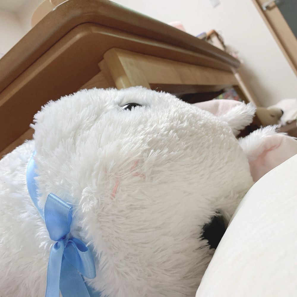 もこねっと