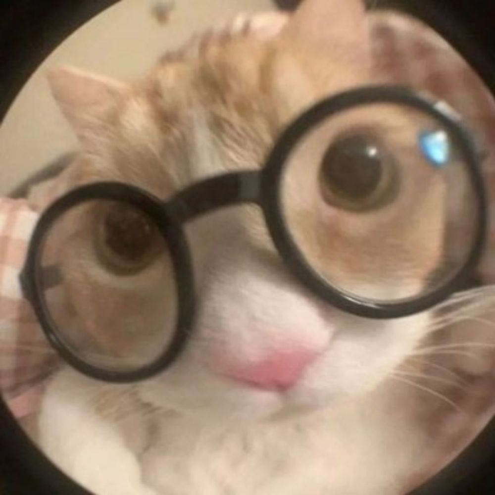 양망영오둥이