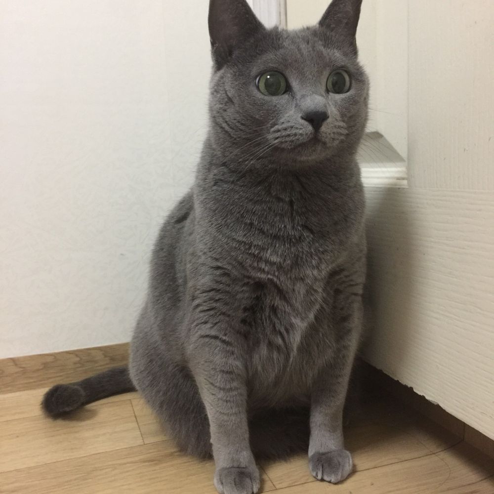 꿀잠