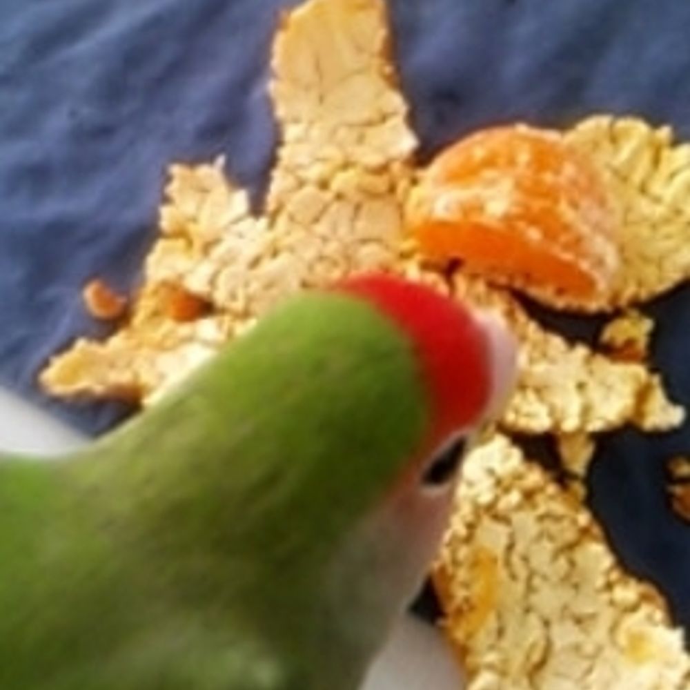 セキト