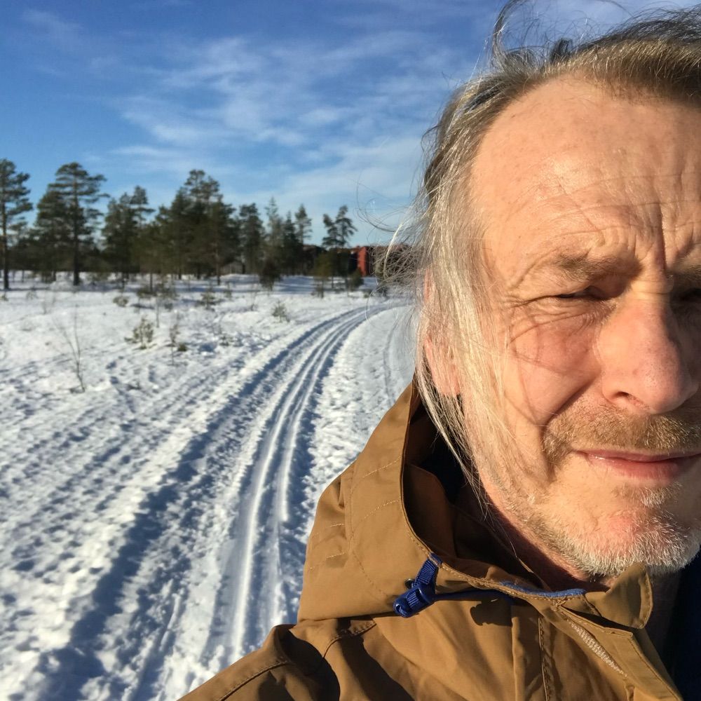 Magnusmyrslok