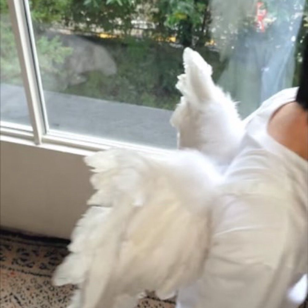 鈴