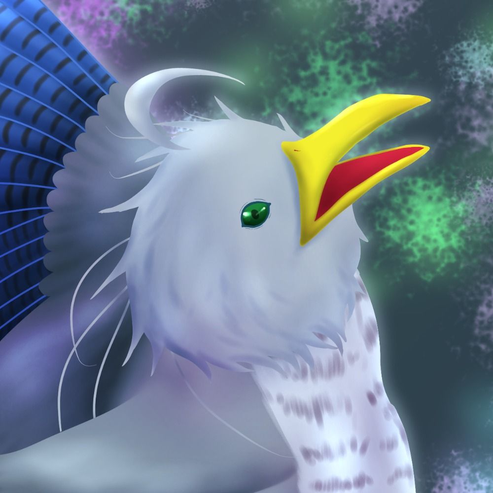 文目鳥掛巣