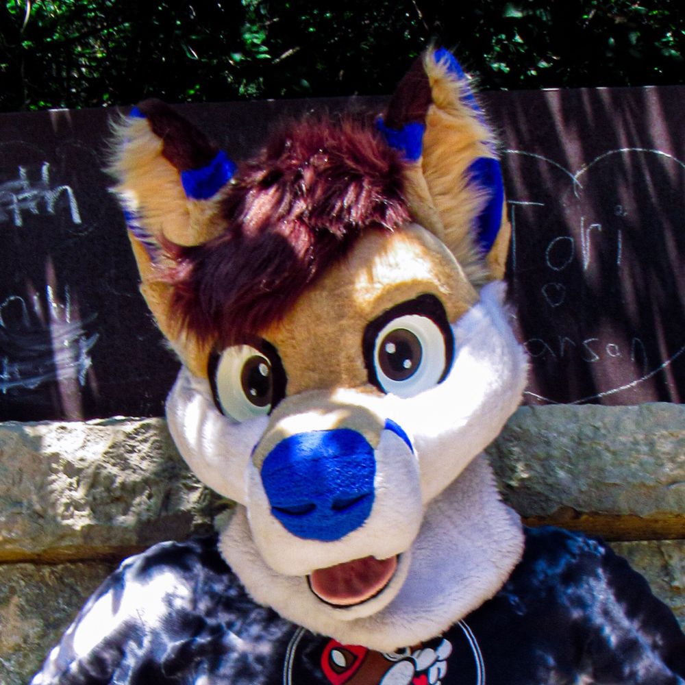 💙TJ Fox💛 🌈∞ @ NFC 🇸🇪