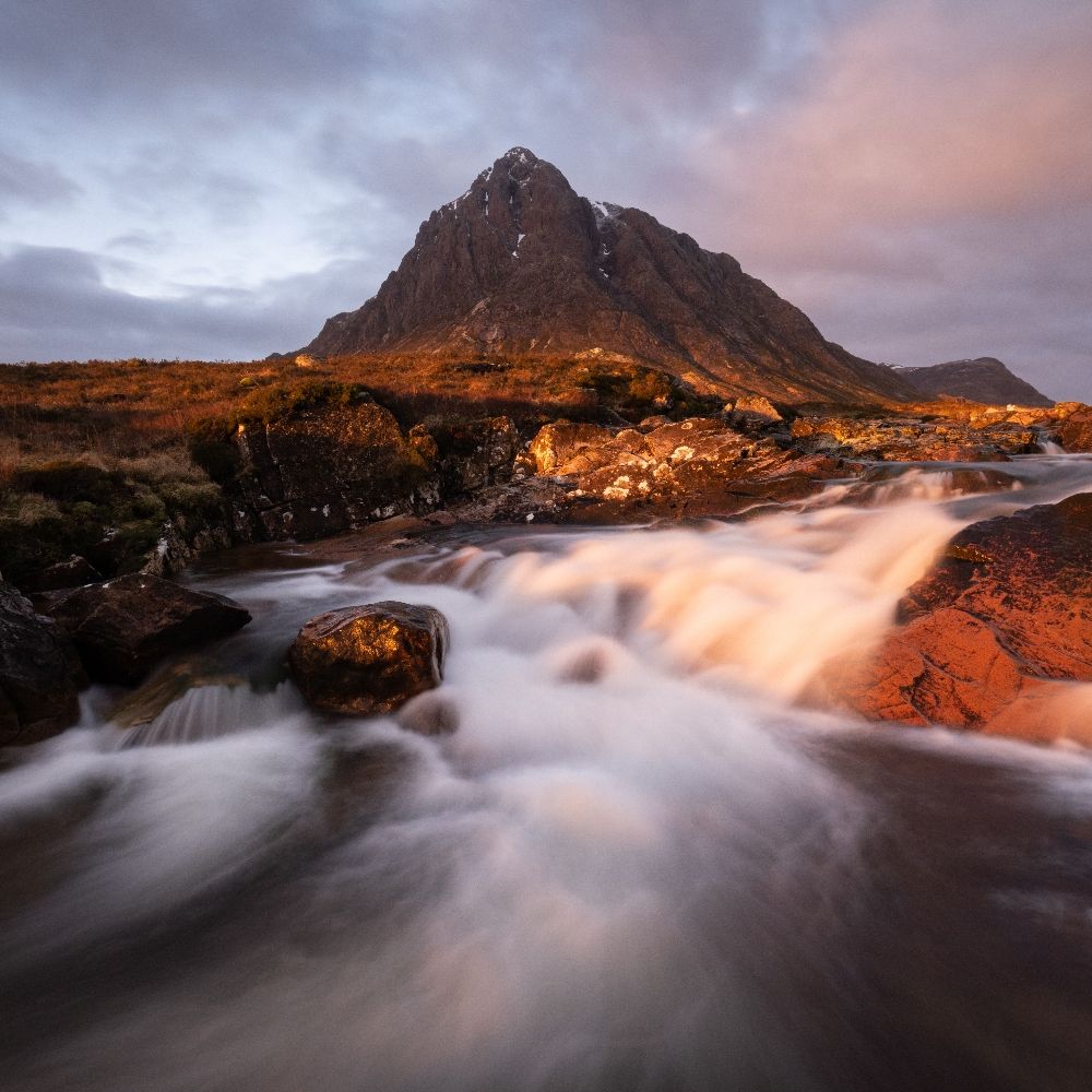 Steve Forden
