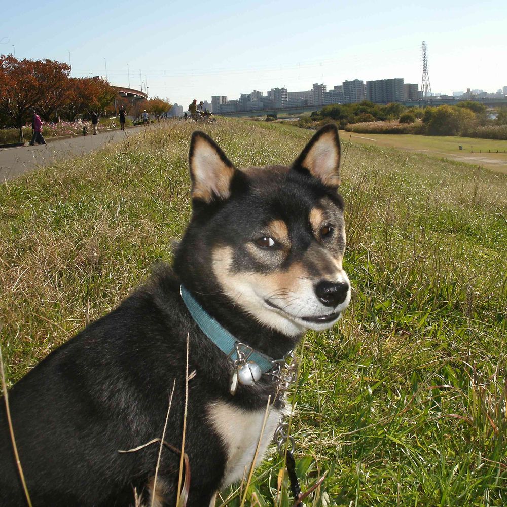 渡部高志