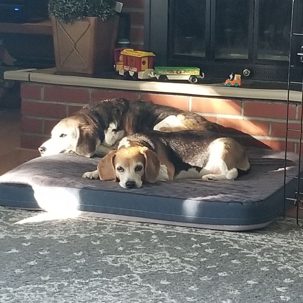 Bud & Lulu's Mom
