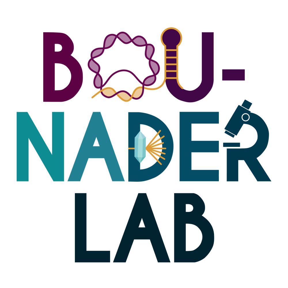 Bou-Nader lab
