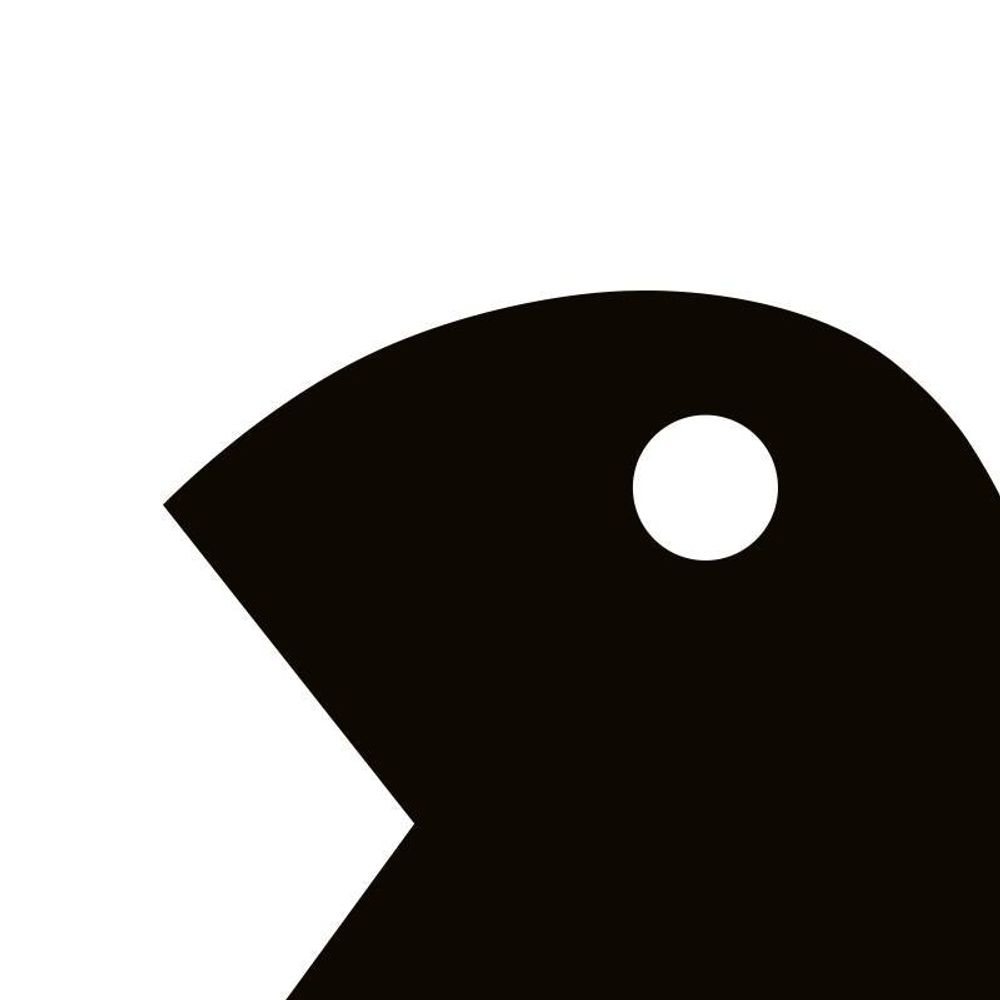 Black Finch Design