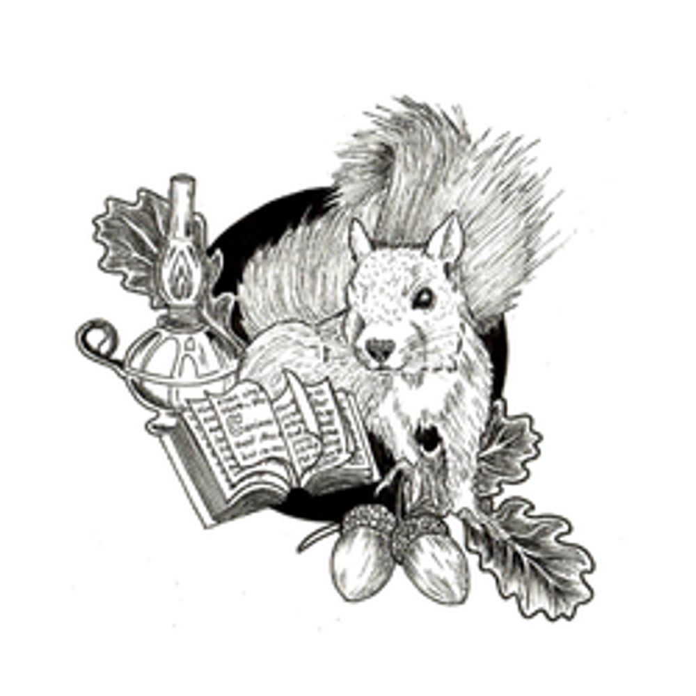 Curious Squirrel Bookshop