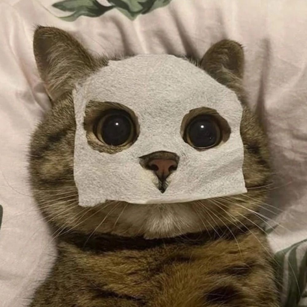 Ghost Cat