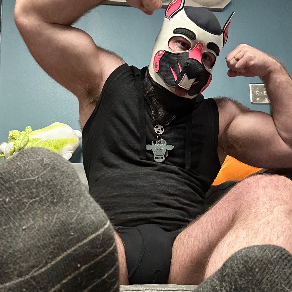 Profile picture pupcruze.bsky.social