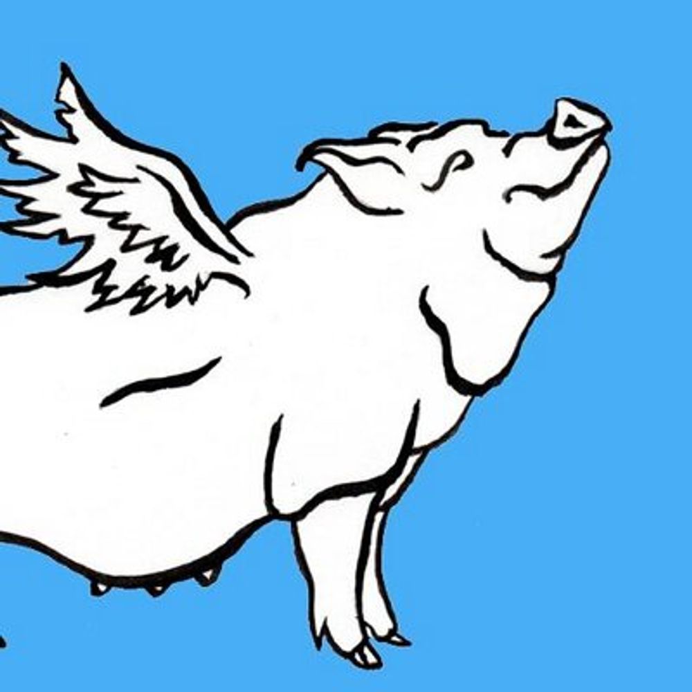 Porkbelly Press