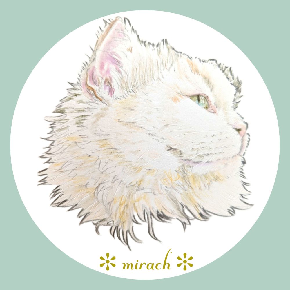＊mirach＊(みらく。)