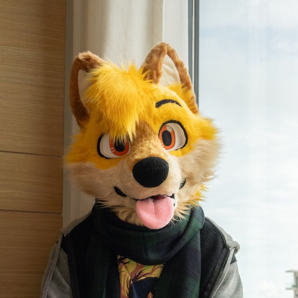 Ley Dingofox