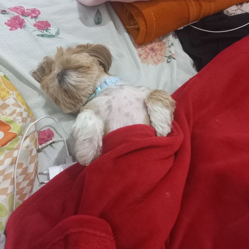 thete