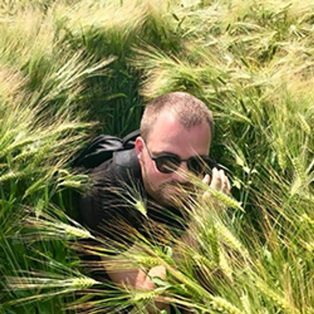 Dries Depoorter