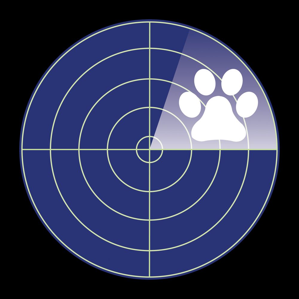 Small Animal Veterinary Surveillance Network