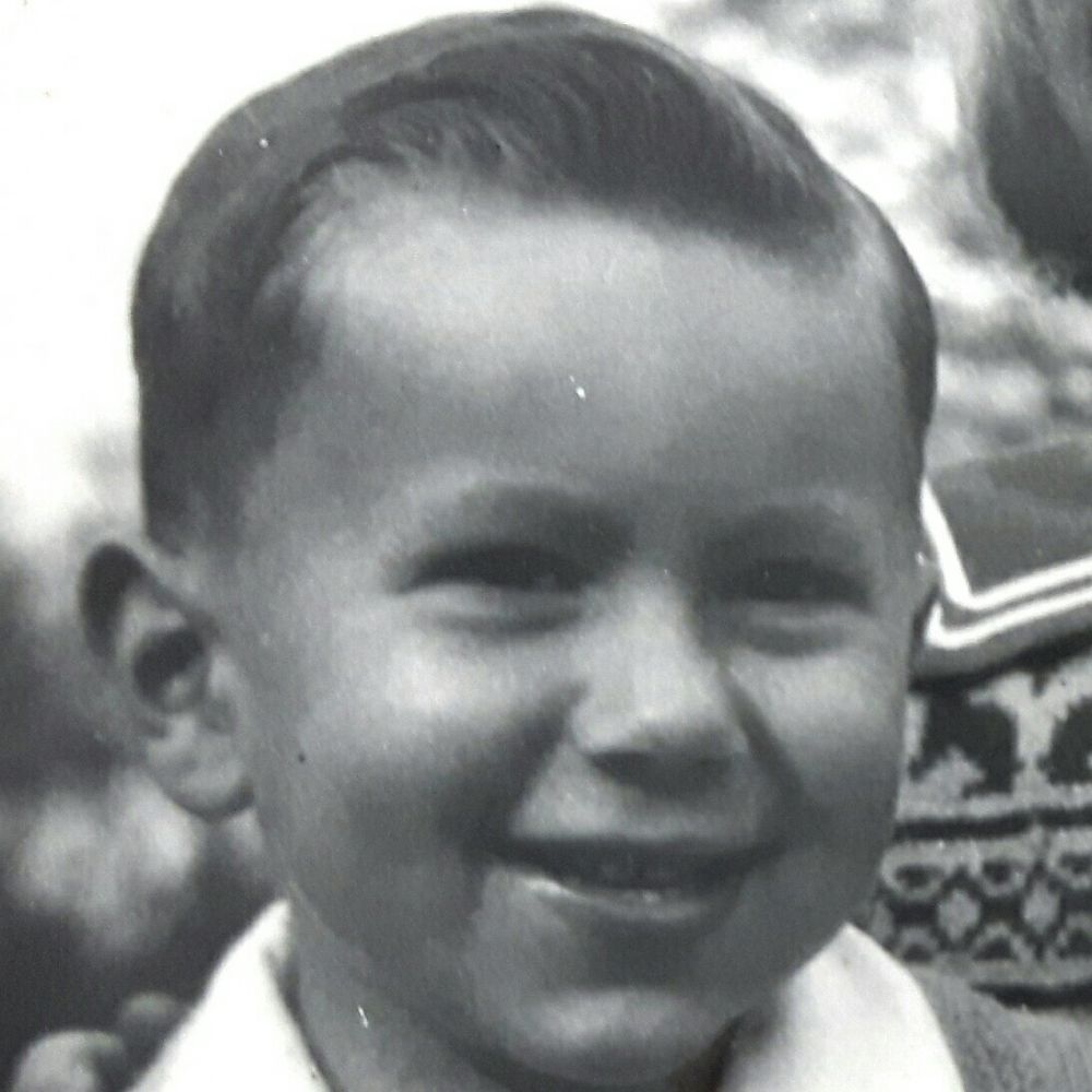 Pepino Acorn