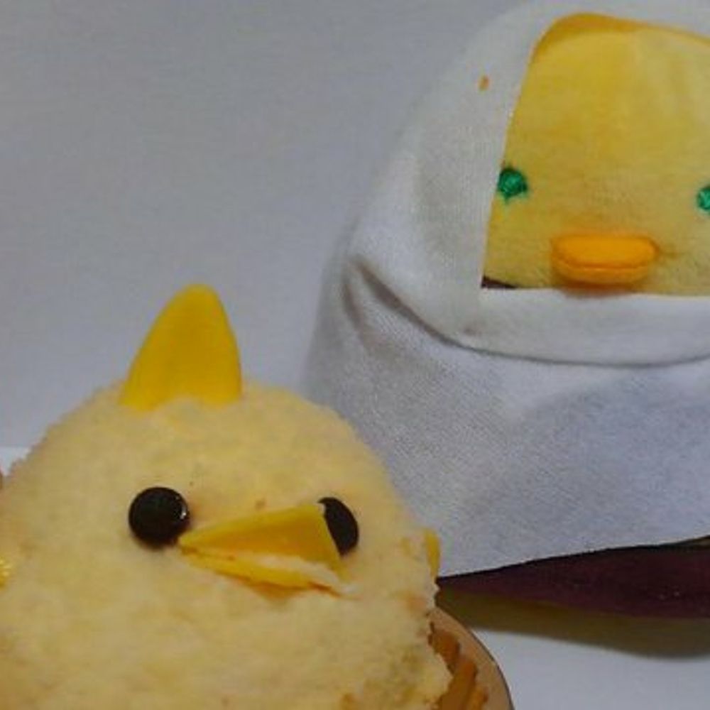 セツカ