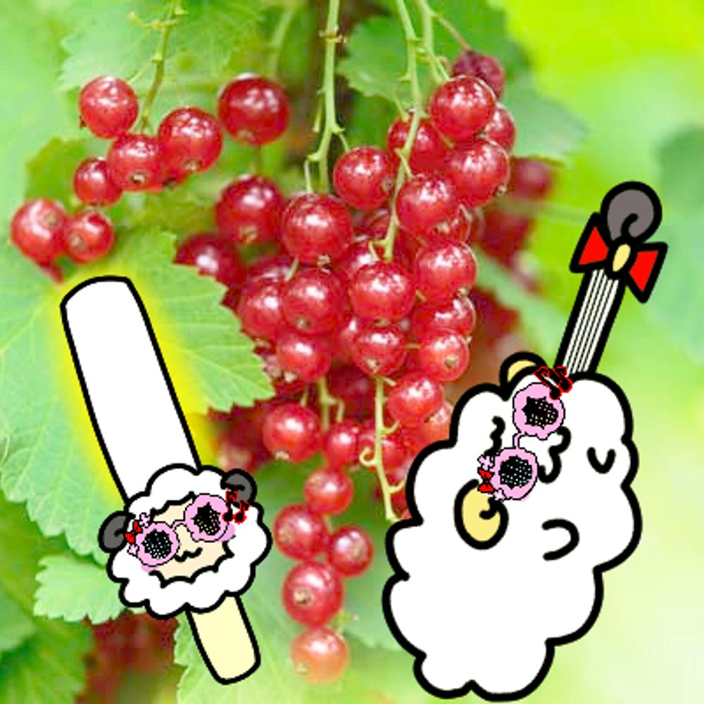 リベス