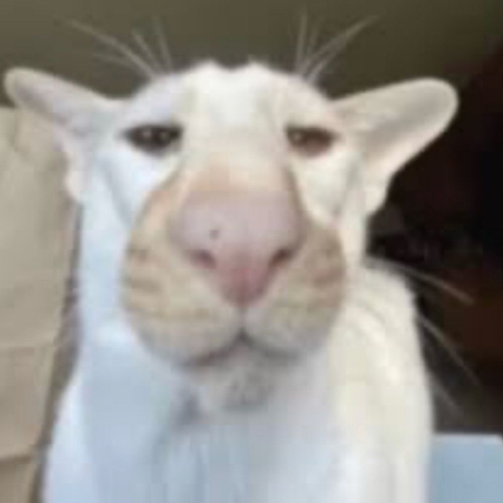 ble