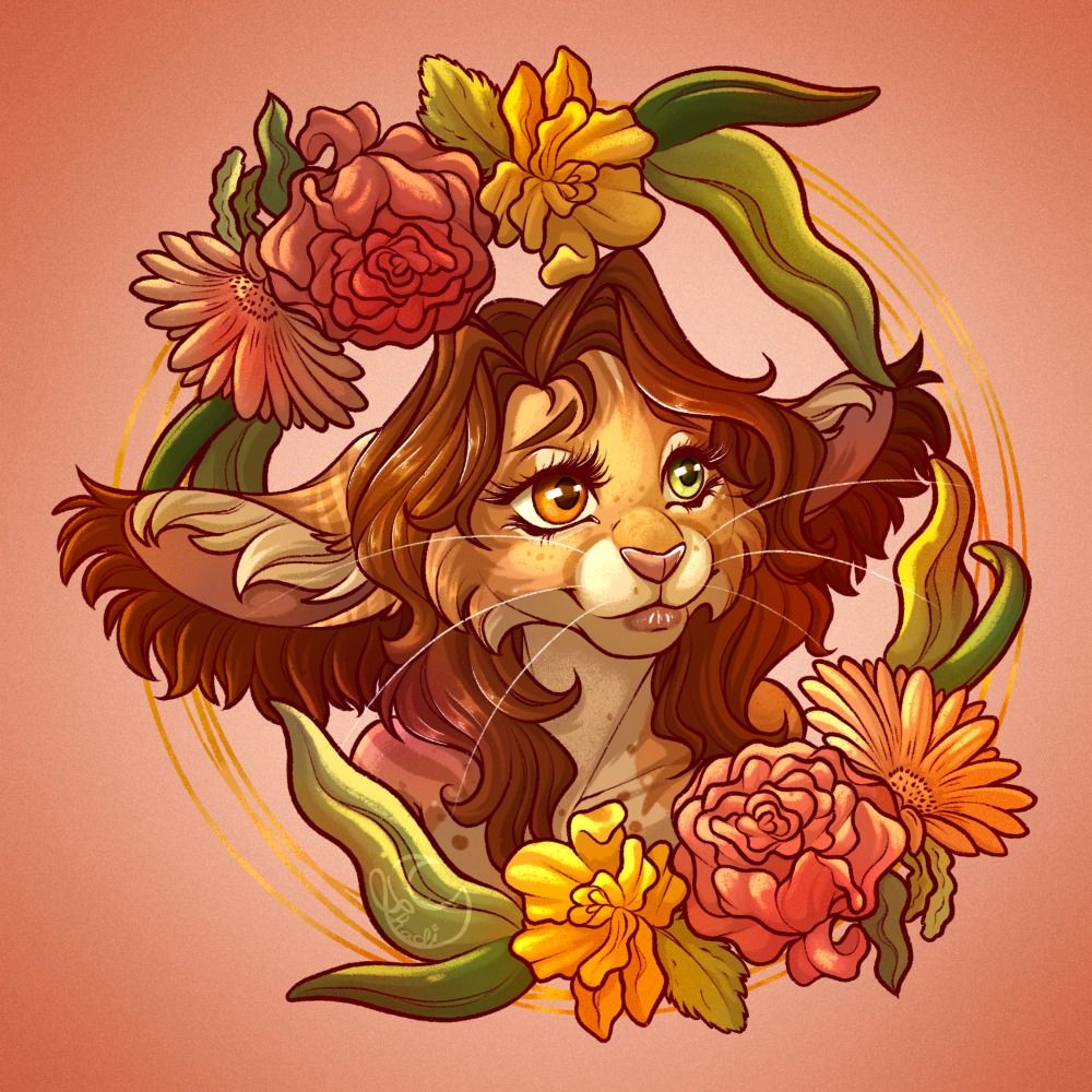 ✨️🌛 Shadi 🌜✨️